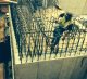 das north america marshall group design build