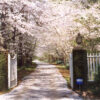 Gate And Driveway To Lanark Plantation In Millbrook, AL