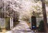Gate and Driveway to Lanark Plantation in Millbrook, AL